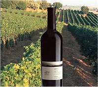 Galil Mountain Winery - Visitors Centers in יראון