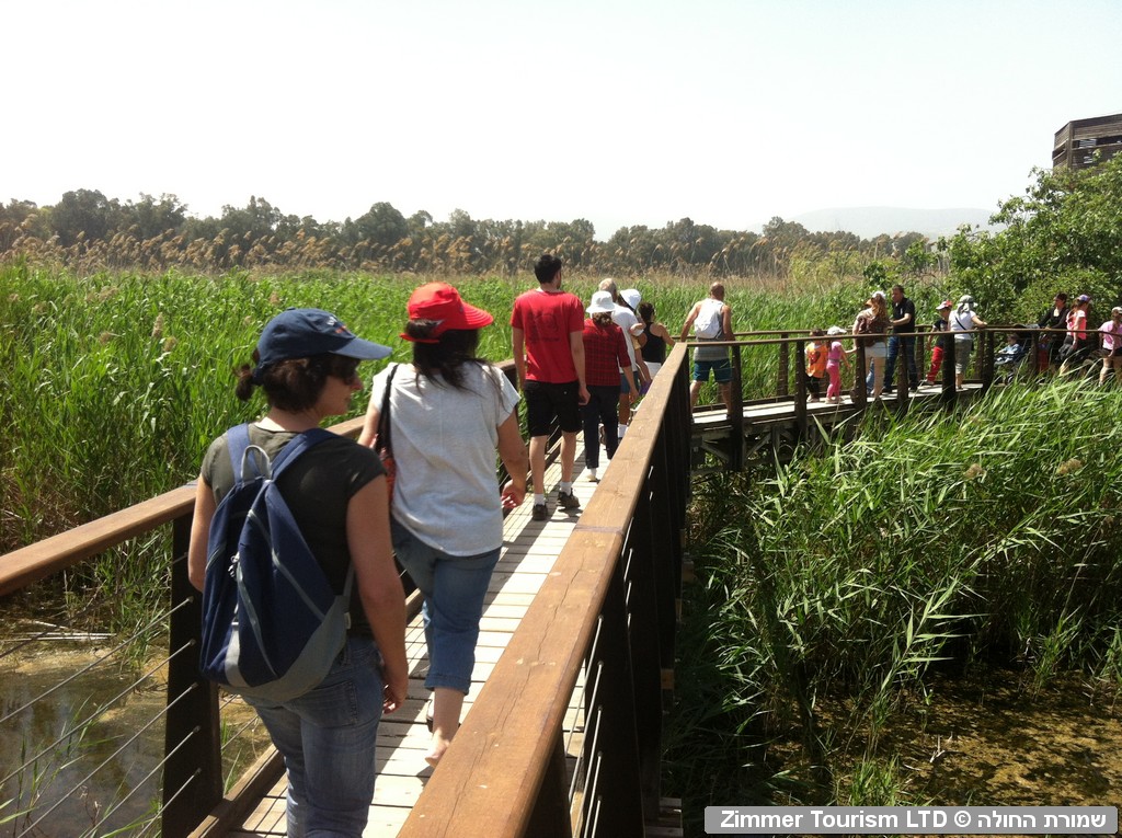 שמורת טבע החולה