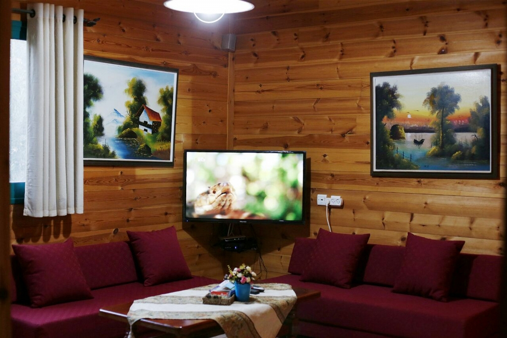 �� ����� - ������ ����