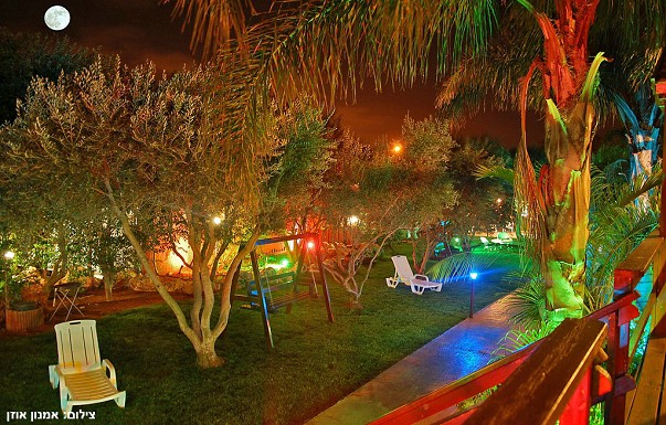 ����� ���� ������ - ������ ����� - ������ ����