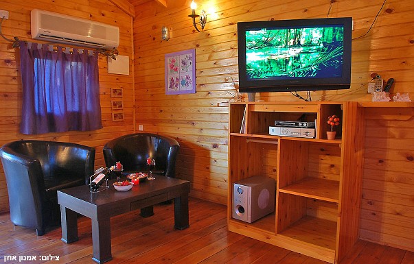 ����� ���� ������ - ������ ����� - ������ ����