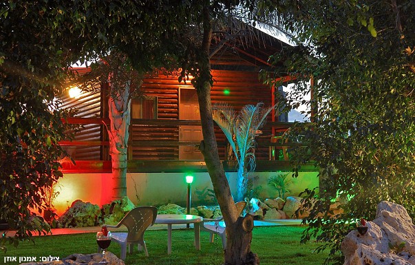 ����� ���� ������ - ������ ����� - ������ ����