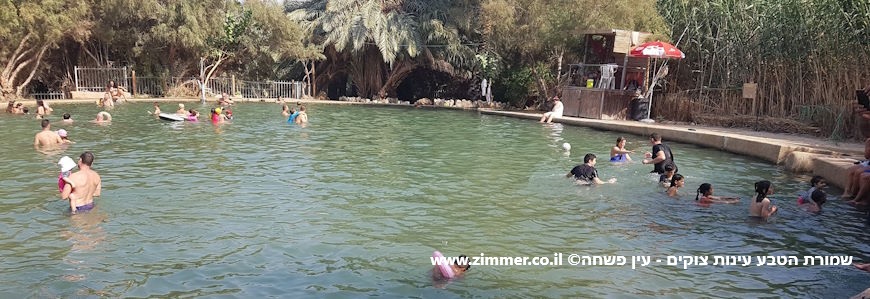 שמורת טבע עינות צוקים עין פשחה ים המלח