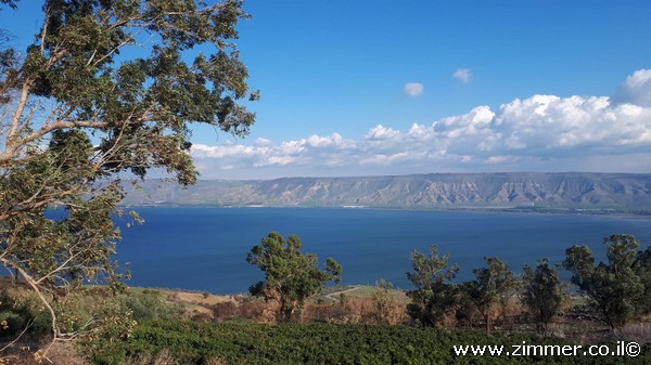 נוף אגם כנרת