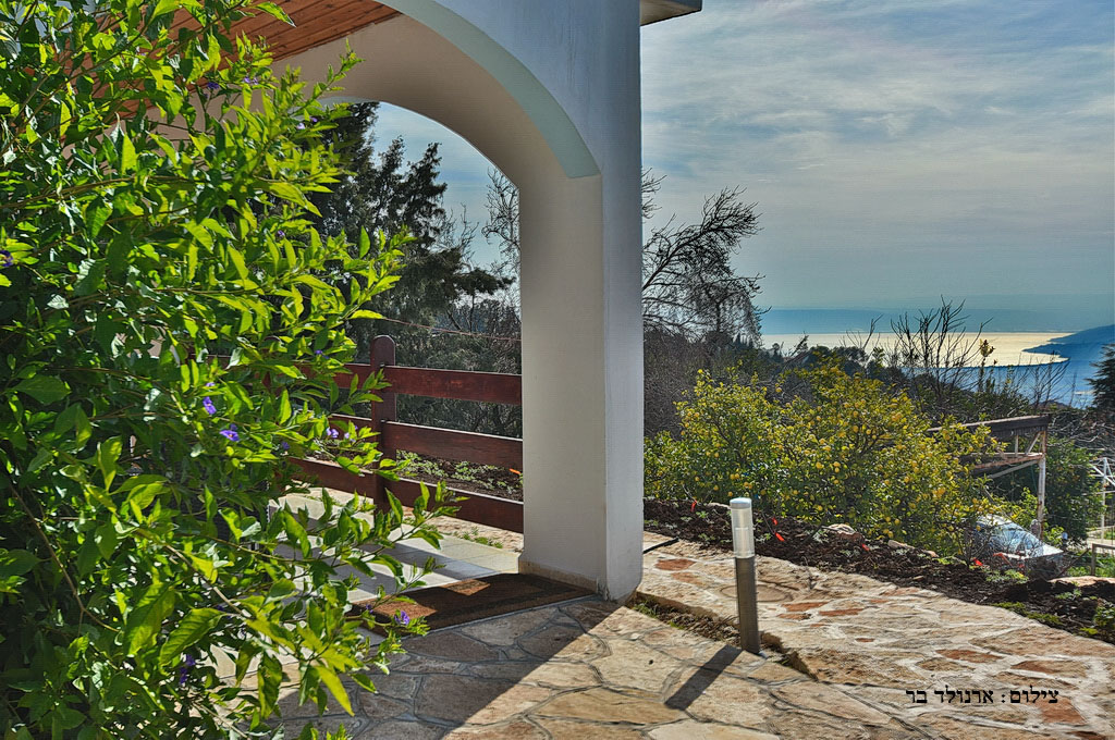 ���� �����