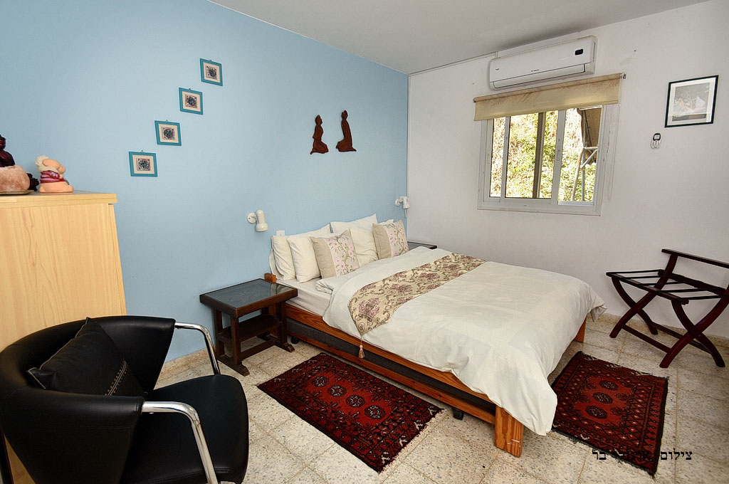 ���� �����