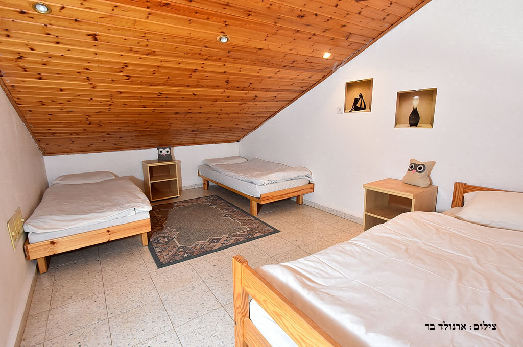 ���� �����