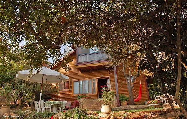 ����� ���������