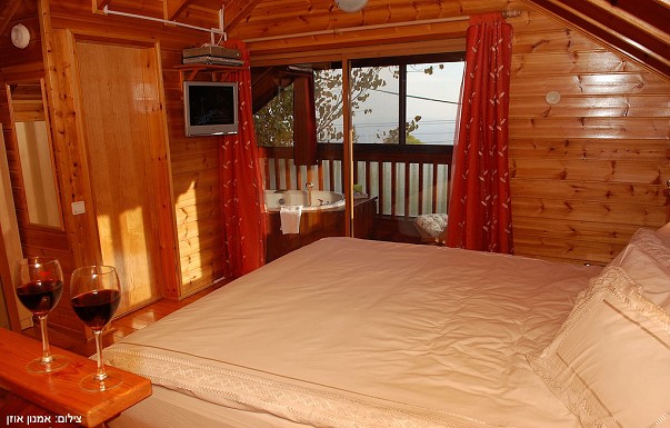 ��� ����� ����� ���������