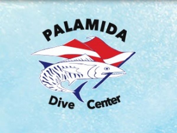 Click to visit פלמידה - מועדון צלילה באילת