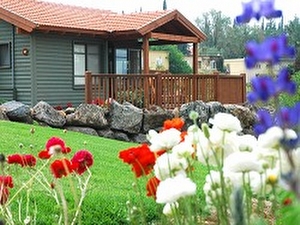 Israel Country Lodging B&B - Zimmer