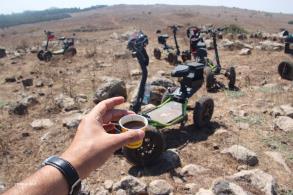 אורטל ריידר - לגלוש על השטח אורטל