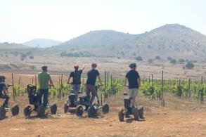 אורטל ריידר - לגלוש על השטח אורטל