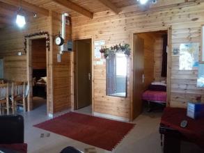 איילת הרים ביריה - צפת