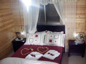 איילת הרים ביריה - צפת