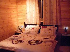 איילת הרים ביריה - צפת