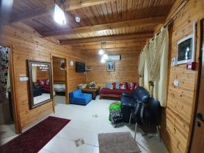 איילת הרים ביריה - צפת