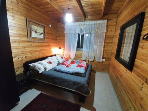 איילת הרים ביריה - צפת