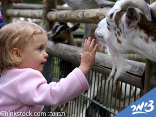 Click to visit כפר הארנבונים - חוות נגר