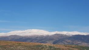 אלסקה אין מלון בוטיק גלילי ייחודי מטולה