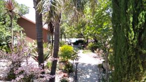 אל הנוף - בקתות עץ  מפוארות כרם בן זמרה