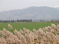 אטרקציות בצפון - איציק ציוניוני הדרך - טיולים מזמרים