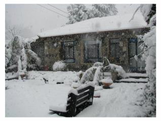 צימרים בשעל - פנינת הבזלת בגולן - צימר מבודד עם בריכה