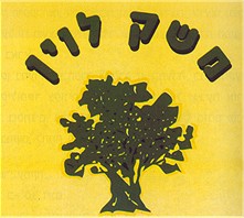 אטרקציות בגליל מערבי - שמן זית משק לוין