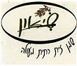 שמן זית שיאון - אטרקציה בצפון