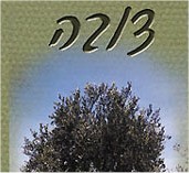 שמן זית צובה - אטרקציה במרכז