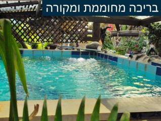Click to visit Beit HaHalukim  BB
