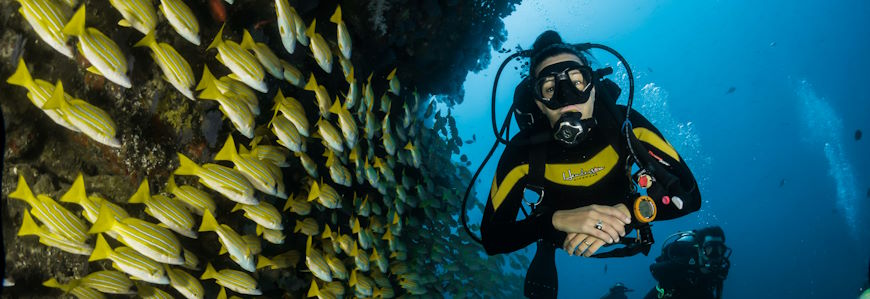 ספורט ימי באילת קורס צלילה בשמורת האלמוגים