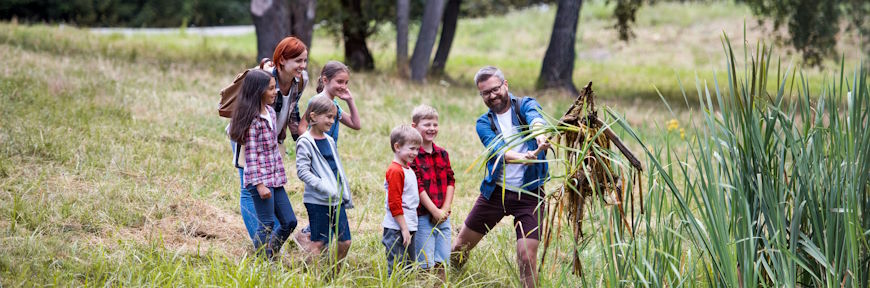 אירוח בבת ספר שדה למשפחות וזוגות