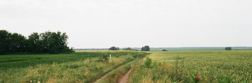 צימרים בבתי ספר שדה בגולן למשפחות