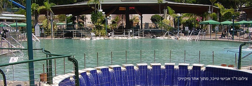 מעיינות חמת גדר