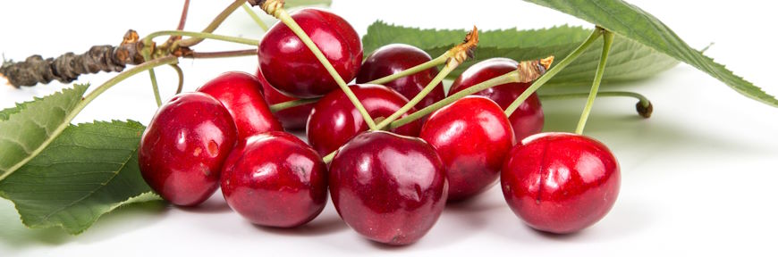 קטיף עצמי של דובדבנים ברמת הגולן