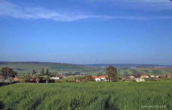 ����� ���� ����� - ������ ������ - ������ ����